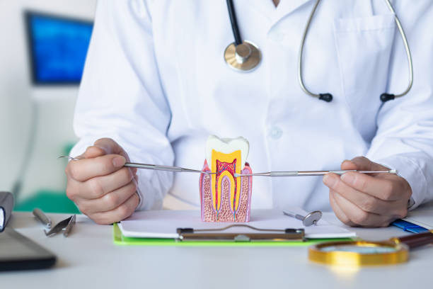 Best Emergency Dental Care for Trauma or Injury in Brigantine, NJ